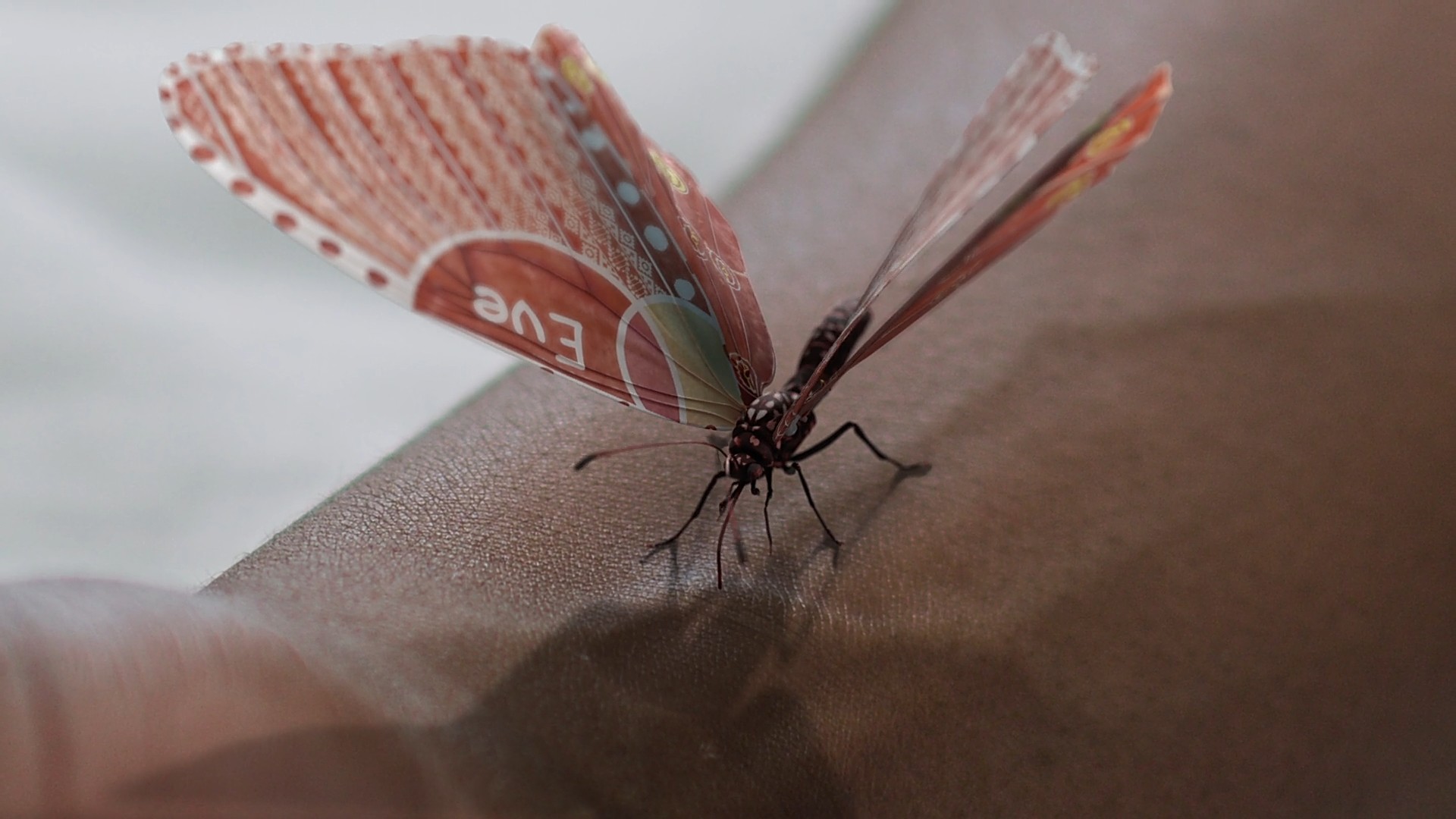 An extreme closeup of a genetically modified butterfly, red with white geometric designs on the wings, and the name Eve, sitting on the arm of a black person, veins show through the skin.